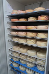 Fototapeta na wymiar fabrication de fromages