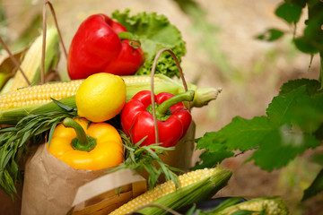 fresh vegetables organic healthy food
corn pepper