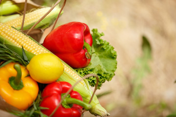 fresh vegetables organic healthy food
corn pepper