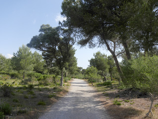 Son Real, Majorca