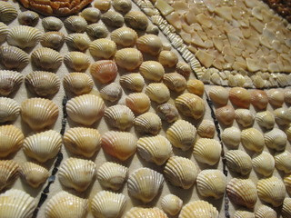 Перламутровая мозаика из морских ракушек