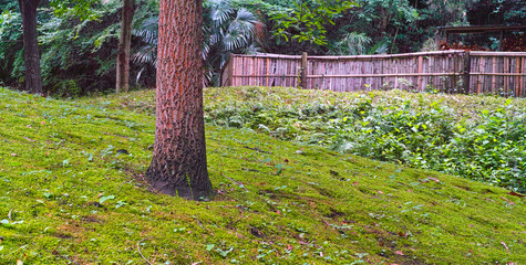 竹のフェンスがある風景