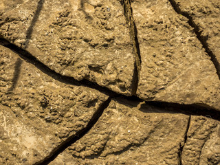 Risse im Lehmboden