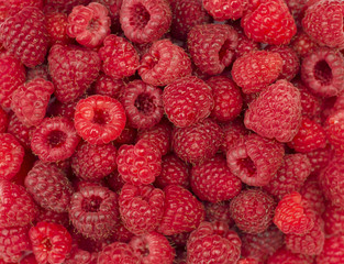 Raspberries fruit  background.