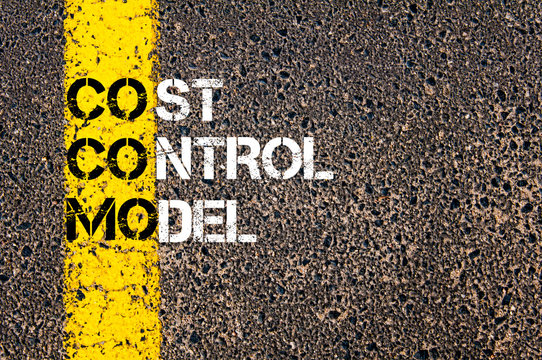 Business Acronym COCOMO as Cost Control Model