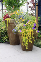 Perennial flower containers