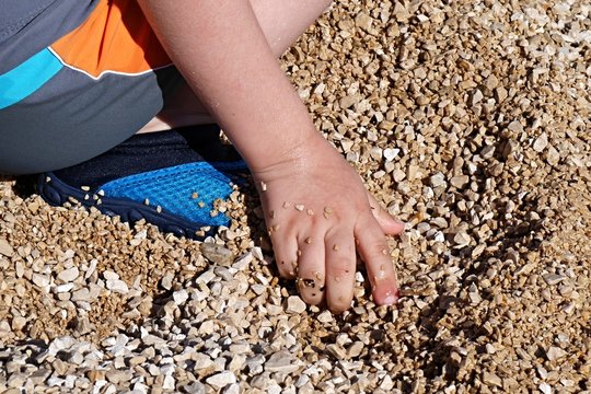 Child hand grabbing small stones on beach, aquatic shoes and swimsuit visible