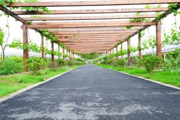 wooden corridor outdoor