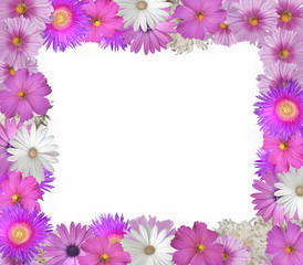 Flower Background