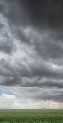 Storm's a Coming