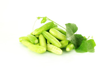 tindora or giloda indian vegetable with leaves in white background