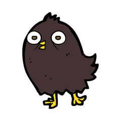 funny cartoon bird