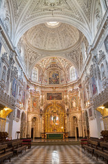 Fototapeta na wymiar Granada - main nave of church Monasterio de la Cartuja.
