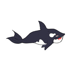 cartoon killer whale