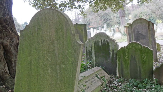 Some of the tombstones in the cemetery in London. They are old and mossy tombstones with a big tree on the side and grass around