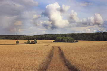 landscape Forest Indian Summer vacation