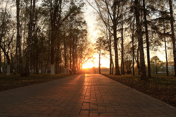 Obraz premium landscape Forest Indian Summer vacation