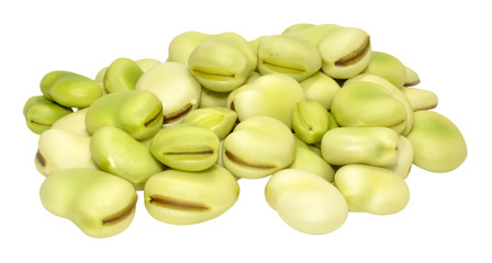 Raw Uncooked Fresh Broad Beans