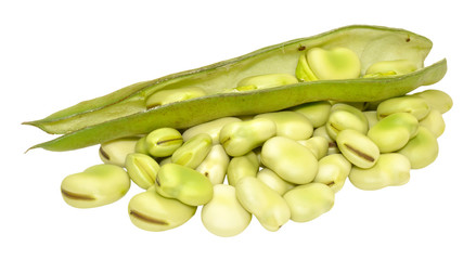 Raw Uncooked Fresh Broad Beans