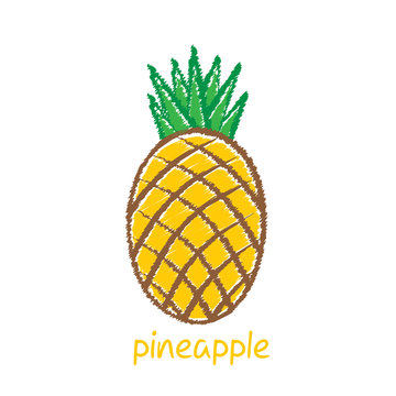 pineapple fruit, sketch design vector