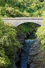 Fototapeta premium Korsika, der Fluss Golo mit alter Brücke