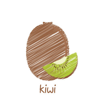 kiwi fruit, sketch design vector