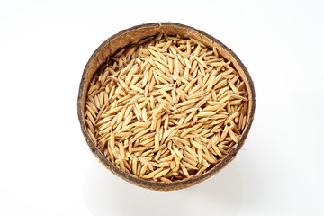 Paddy on coconut isolated on white background