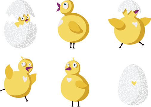 Set of funny chicken with egg.