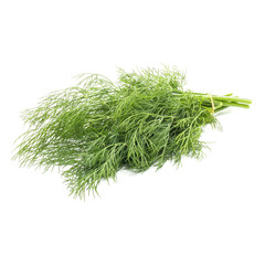 Bunch of fresh green dill on white background