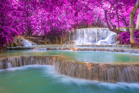 Waterfall in rain forest (Tat Kuang Si Waterfalls at Luang praba