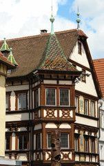 ?ouse from a tree in the city Esslingen am Neckar