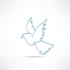 dove of peace