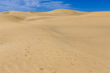 Maspalomas Duna - Desert in Canary island Gran Canaria