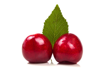 Two bright ripe red cherry with leaf