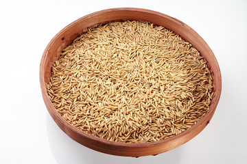 Paddy on Tray isolated on white background