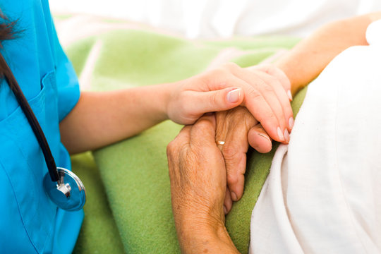 Care Love and Trust for Elders