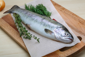 Raw trout