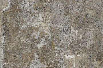 Fototapeta premium background texture, wall of concrete
