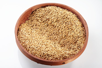 Paddy on Tray isolated on white background