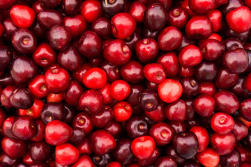 Red Cherries.   Cherry selection.  Background of ripe cherries
