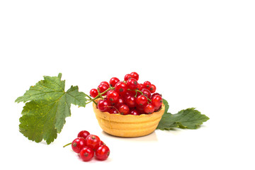 natural red ripe currant tart with leaves