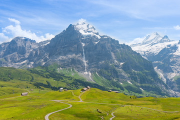 Grindelwald. Walking trails through mountains and alpine meadows with wild flowers in Switzerland