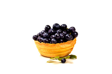 tartlet with fresh blueberries