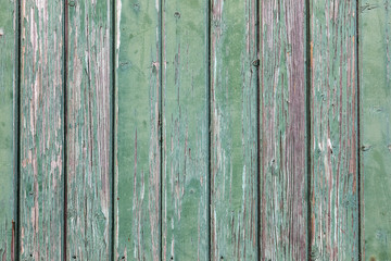 wooden wall of shed consisiting of green planks