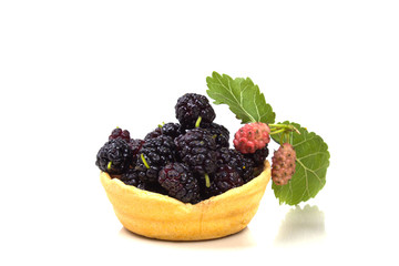 tartlet with fresh mulberry