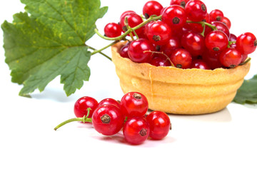 tartlet with red currants and leaves close