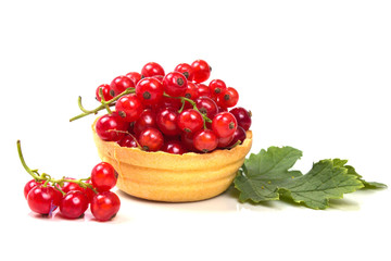 Tartlets with ripe red currant and green leaf