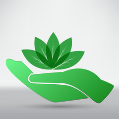 Hands and plant icon