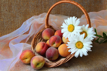 Basket with ripe peaches and bunch of daisies..