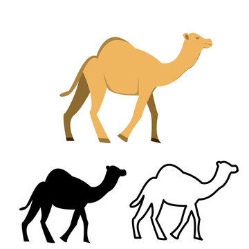 Set of flat camel icon